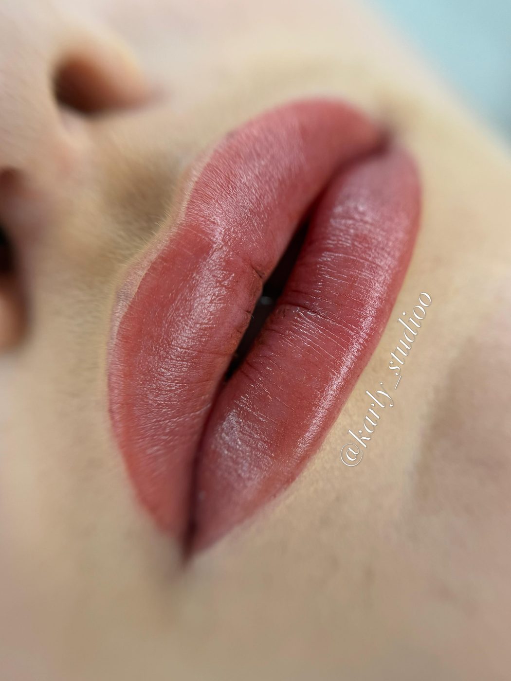 Labios con color y contorno definidos